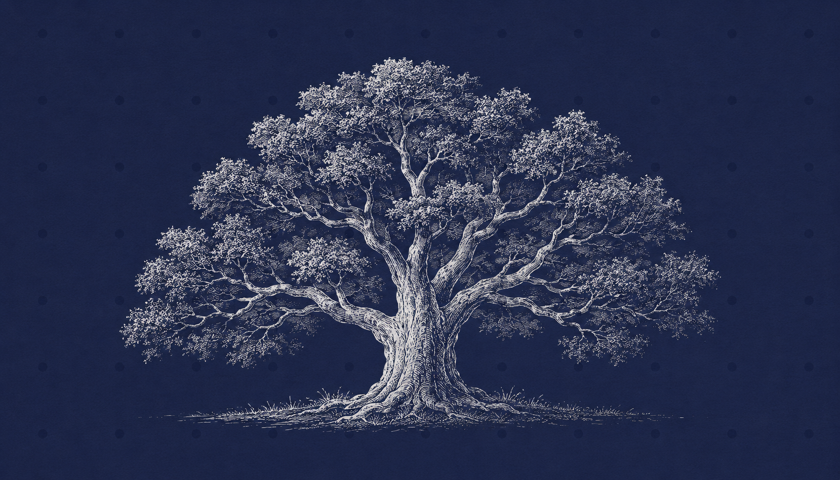 The Family Succession Myth